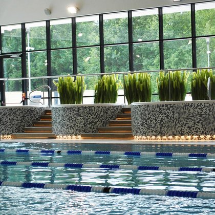 Trzy wanny jacuzzi obłożone szarą mozaiką ceramiczną umiejscowione wzdłuż przeszklonej ściany hali. Przed wannami widać część basenu sportowego, za nim donice z zieloną roślinnością.